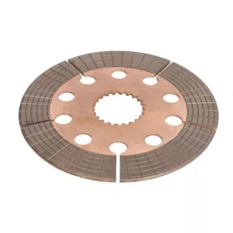 Jeu de 2 disques de frein arrière SBP OEM 83989830