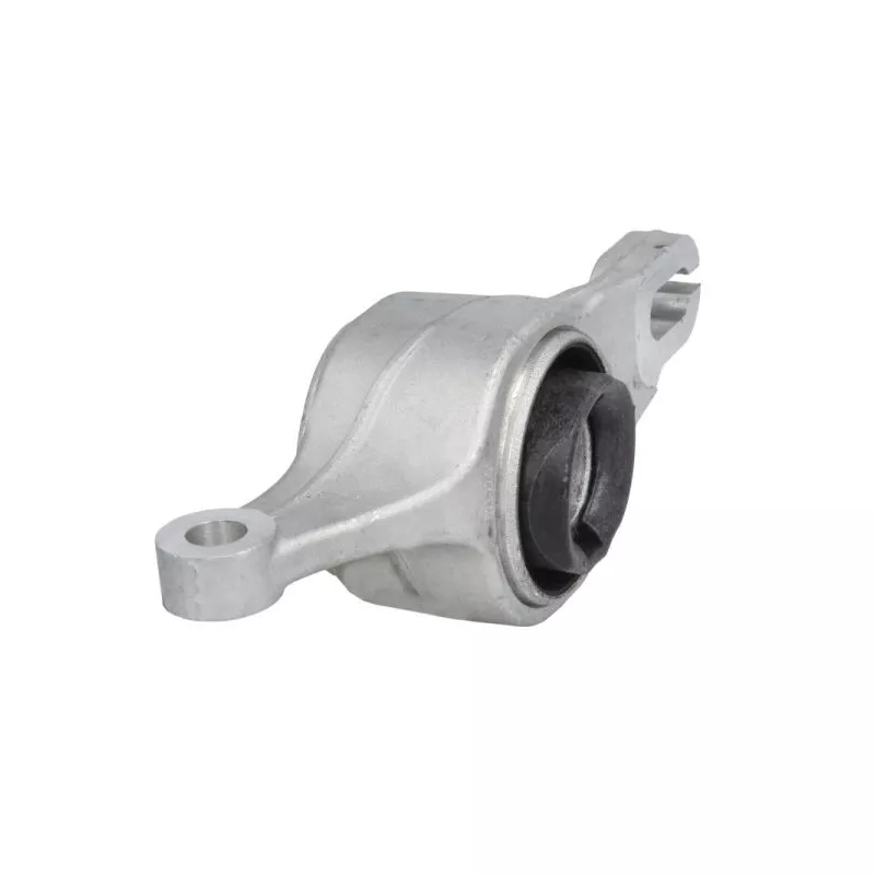 Suspension, bras de liaison avant droit REINHOCH RH14-6029 - Visuel 1