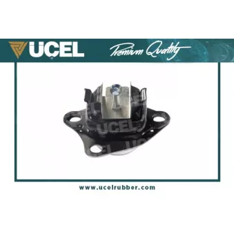 Support moteur UCEL OEM 21901