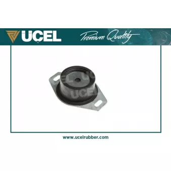 UCEL 41555 - Suspension, boîte de vitesse manuelle