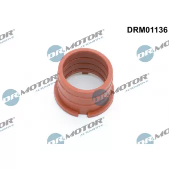 Dr.Motor DRM01136 - Bague d'étanchéité, gaine de suralimentation