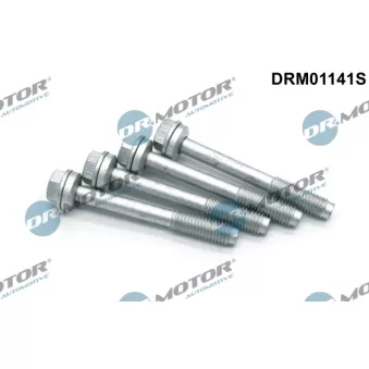 Dr.Motor DRM01141S - Vis, support pour controleur d'injecteurs