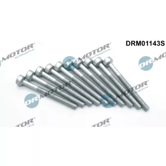 Dr.Motor DRM01143S - Vis, support pour controleur d'injecteurs