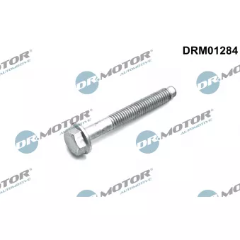 Vis, support pour controleur d'injecteurs Dr.Motor DRM01284
