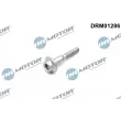 Vis, support pour controleur d'injecteurs Dr.Motor [DRM01286]