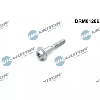 Vis, support pour controleur d'injecteurs Dr.Motor DRM01286