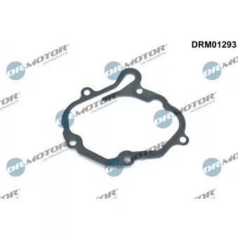 Dr.Motor DRM01293 - Joint, pompe à vide