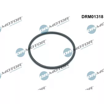 Joint d'étanchéité, boîtier de filtre à huile Dr.Motor DRM01318