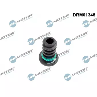 Dr.Motor DRM01348 - Vis-bouchon, carter d'huile