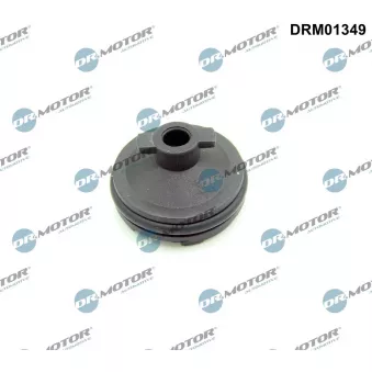 Dr.Motor DRM01349 - Vis-bouchon, carter d'huile
