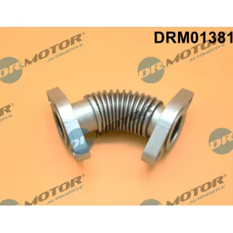 Dr.Motor DRM01381 - Tuyauterie, vanne EGR