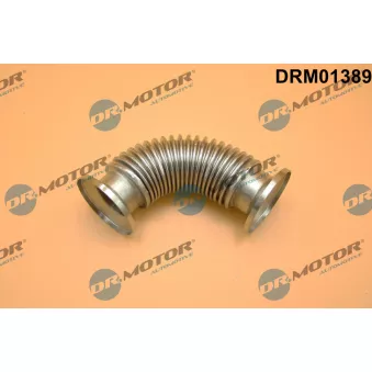Dr.Motor DRM01389 - Tuyauterie, vanne EGR