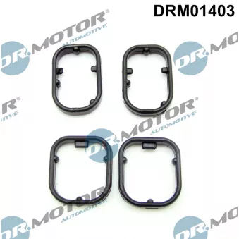 Dr.Motor DRM01403 - Kit de joints, radiateur d'huile