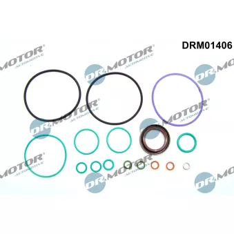 Dr.Motor DRM01406 - Kit d'assemblage, pompe à carburant