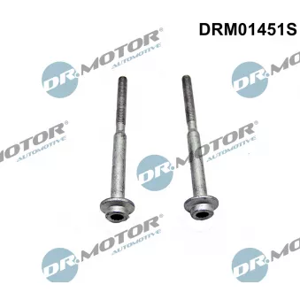 Dr.Motor DRM01451S - Vis, support pour controleur d'injecteurs