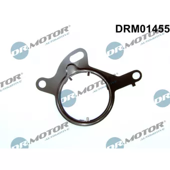 Joint, pompe à vide Dr.Motor DRM01455