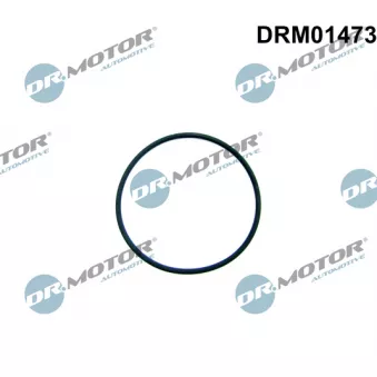 Joint d'étanchéité, pompe à carburant Dr.Motor DRM01473