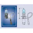 MAGNETI MARELLI 002604100000 - Ampoule, projecteur antibrouillard