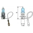 MAGNETI MARELLI 002604100000 - Ampoule, projecteur antibrouillard