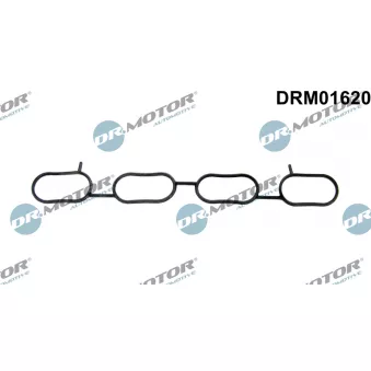 Dr.Motor DRM01620 - Joint d'étanchéité, collecteur d'admission