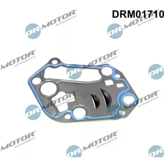 Dr.Motor DRM01710 - Joint d'étanchéité, boîtier de filtre à huile
