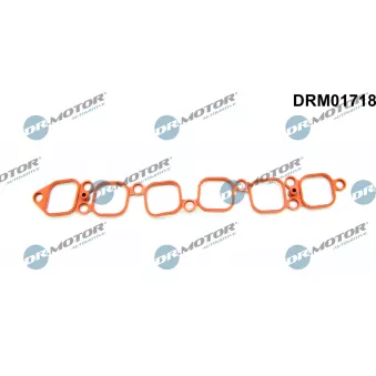 Dr.Motor DRM01718 - Joint d'étanchéité, collecteur d'admission