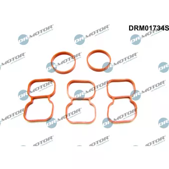 Dr.Motor DRM01734S - Joint d'étanchéité, culasse