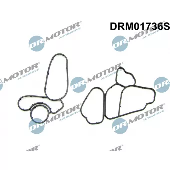 Dr.Motor DRM01736S - Kit de joints, radiateur d'huile