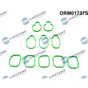 Dr.Motor DRM01737S - Jeu de joints d'étanchéité, collecteur d'admission