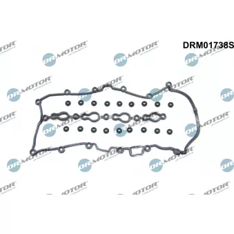 Dr.Motor DRM01738S - Jeu de joints d'étanchéité, couvercle de culasse