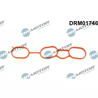 Dr.Motor DRM01746 - Joint d'étanchéité, collecteur d'admission