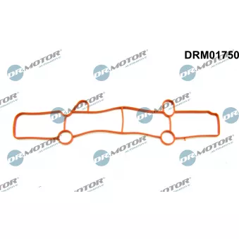 Dr.Motor DRM01750 - Joint d'étanchéité, collecteur d'admission