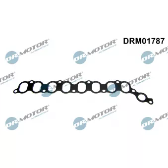 Dr.Motor DRM01787 - Joint d'étanchéité, collecteur d'admission