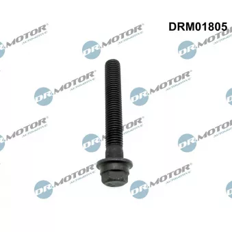 Dr.Motor DRM01805 - Vis de poulie