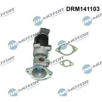 Dr.Motor DRM141103 - Vanne EGR