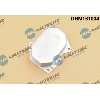 Radiateur d'huile Dr.Motor DRM161004 pour DEUTZ-FAHR D06 2.2 TDCi - 115cv