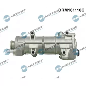 Dr.Motor DRM161110C - Radiateur, réaspiration des gaz d'échappement