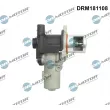 Dr.Motor DRM181108 - Vanne EGR