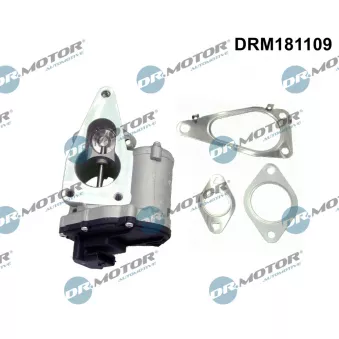 Dr.Motor DRM181109 - Vanne EGR