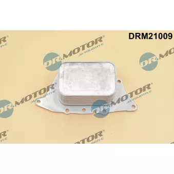 Dr.Motor DRM21009 - Radiateur d'huile