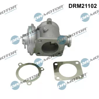 Dr.Motor DRM21102 - Vanne EGR