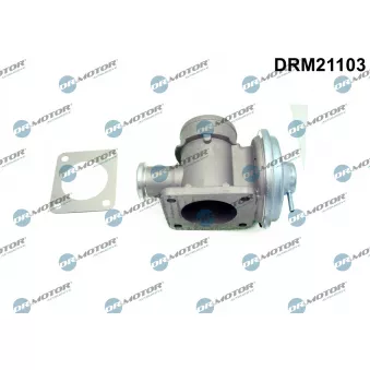 Dr.Motor DRM21103 - Vanne EGR