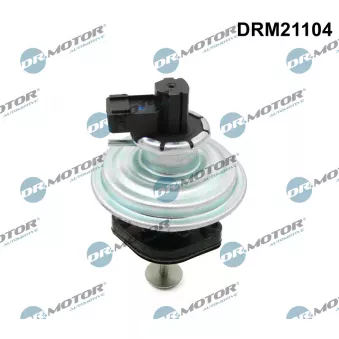Dr.Motor DRM21104 - Vanne EGR