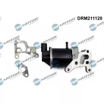 Dr.Motor DRM211120 - Vanne EGR