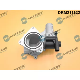 Dr.Motor DRM211122 - Vanne EGR