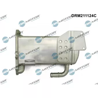 Dr.Motor DRM211124C - Radiateur, réaspiration des gaz d'échappement