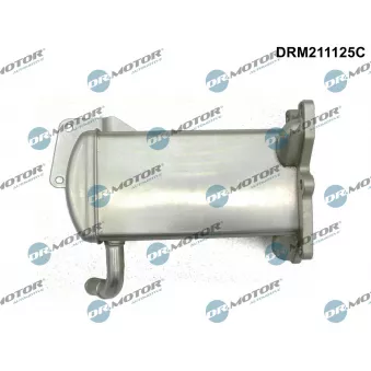 Dr.Motor DRM211125C - Radiateur, réaspiration des gaz d'échappement