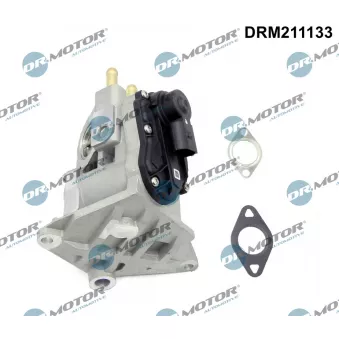 Dr.Motor DRM211133 - Vanne EGR