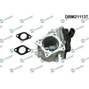 Dr.Motor DRM211137 - Vanne EGR