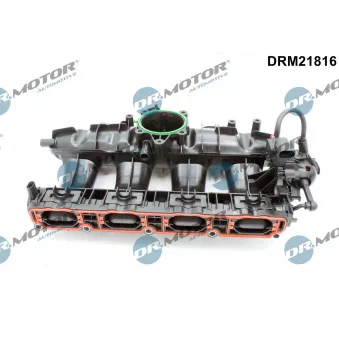 Module de tube d'admission Dr.Motor OEM BKS-VW-014K